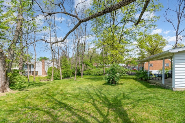 view of yard