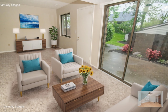 living room featuring baseboards and carpet flooring