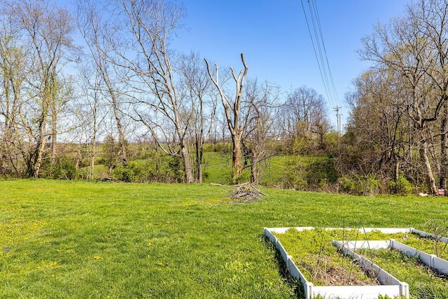 5375 Sherman Mount Zion, Dry Ridge, KY 41035 - view of green lawn with a vegetable garden