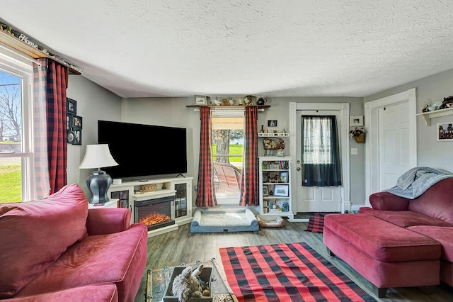 5375 Sherman Mount Zion, Dry Ridge, KY 41035 - living area featuring wood finished floors and a glass covered fireplace