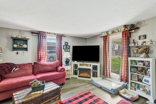 5375 Sherman Mount Zion, Dry Ridge, KY 41035 - living room with a textured ceiling, wood finished floors, and a glass covered fireplace