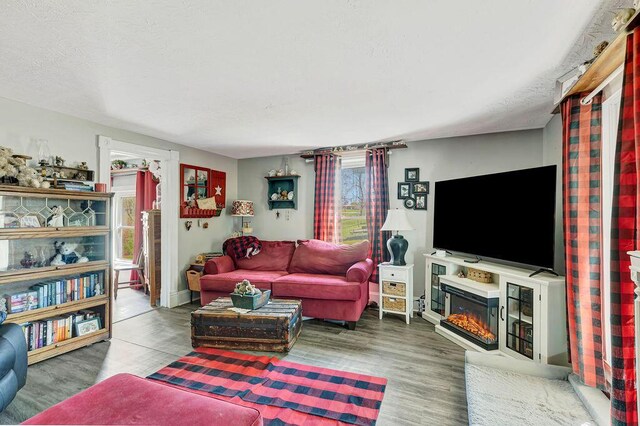 5375 Sherman Mount Zion, Dry Ridge, KY 41035 - living area featuring wood finished floors and a glass covered fireplace