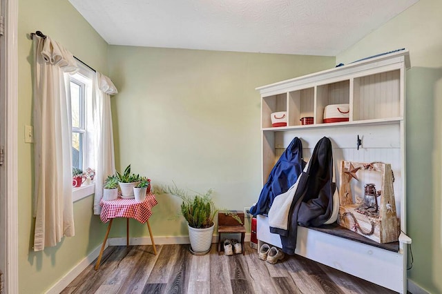 5375 Sherman Mount Zion, Dry Ridge, KY 41035 - mudroom with wood finished floors, baseboards, and vaulted ceiling