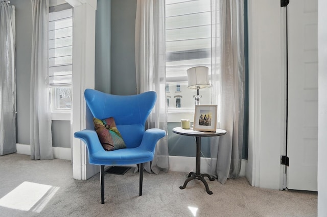 sitting room with carpet flooring