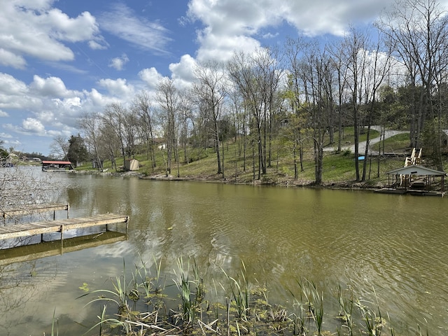 785 Waterworks Rd, Williamstown, KY 41097