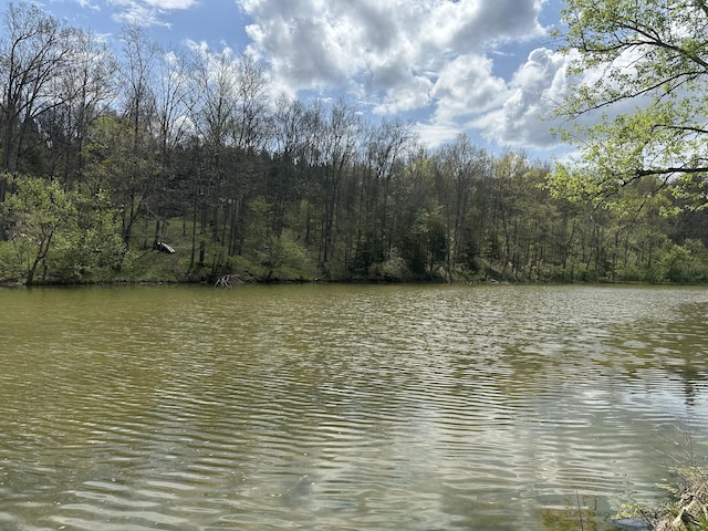 785 Waterworks Rd, Williamstown, KY 41097