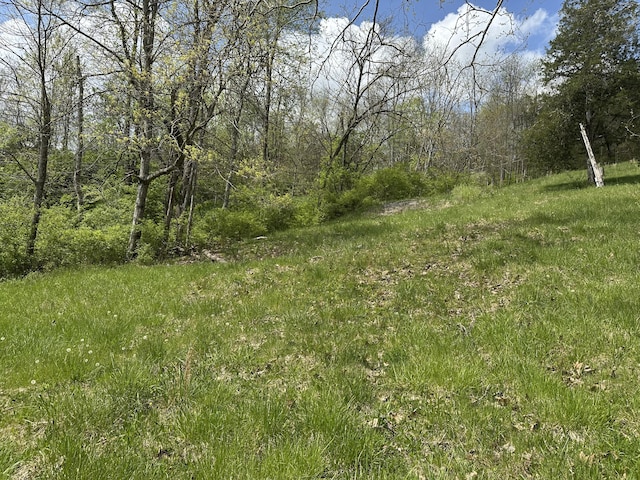 785 Waterworks Rd, Williamstown, KY 41097