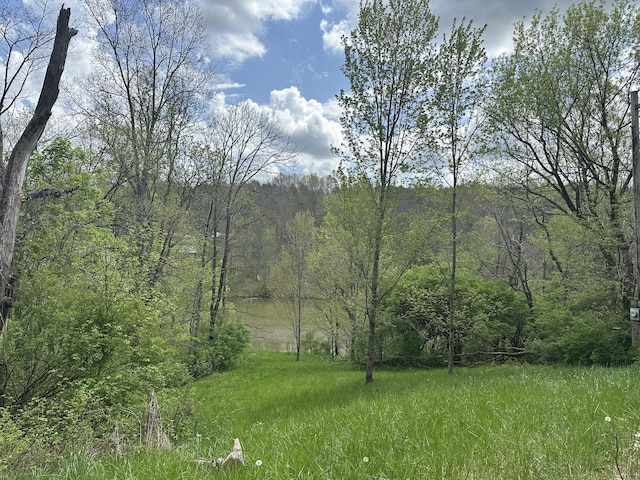 785 Waterworks Rd, Williamstown, KY 41097