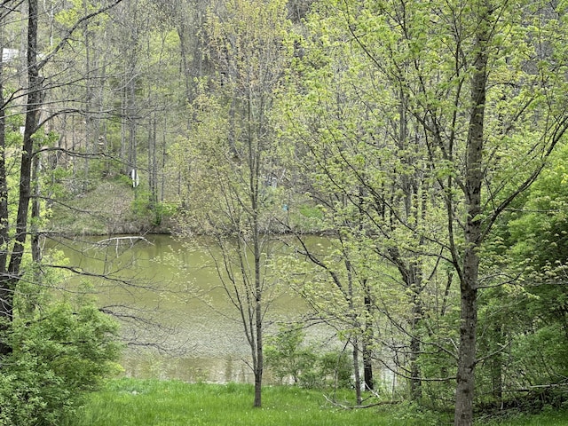 785 Waterworks Rd, Williamstown, KY 41097