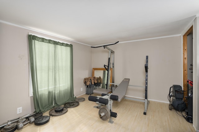 workout area featuring baseboards, wood finished floors, and a wealth of natural light