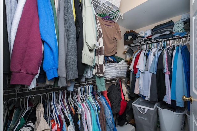 view of walk in closet