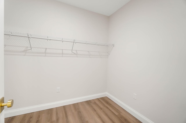 walk in closet featuring wood finished floors