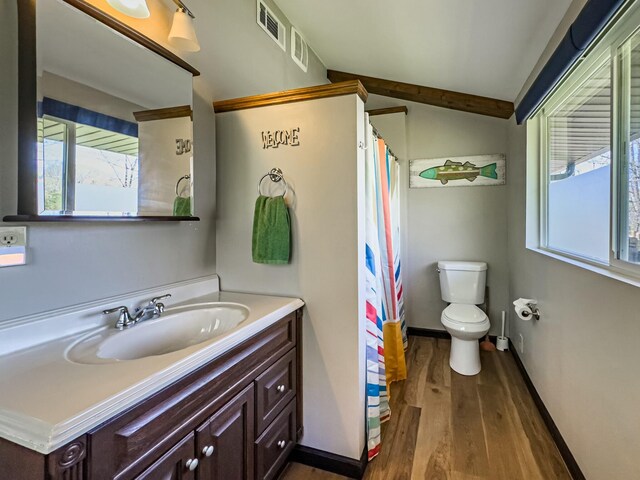 full bathroom with vanity, plenty of natural light, toilet, and wood finished floors