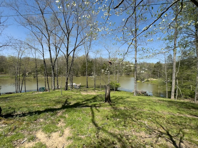 view of yard with a water view