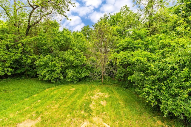 510 Fox St, Elsmere, KY 41018 - view of yard