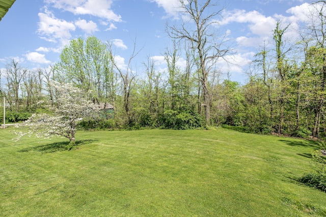 view of yard