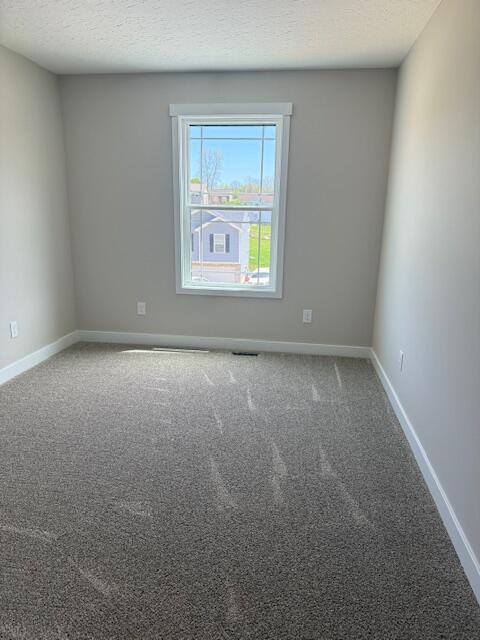 empty room with baseboards, carpet flooring, and a textured ceiling