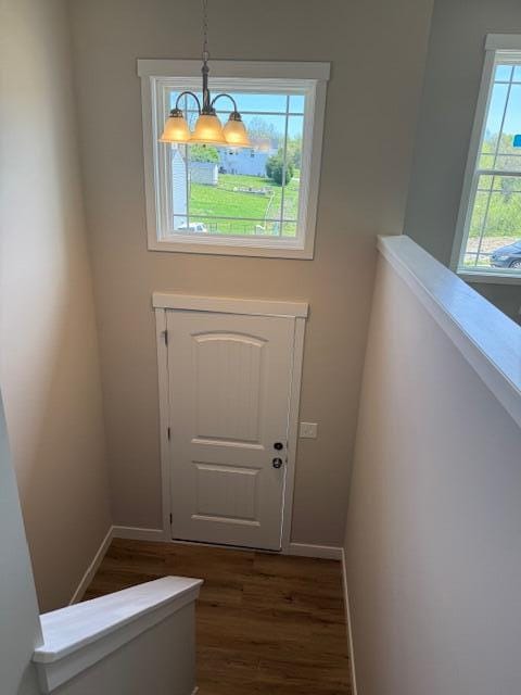 entryway with baseboards and dark wood-style flooring