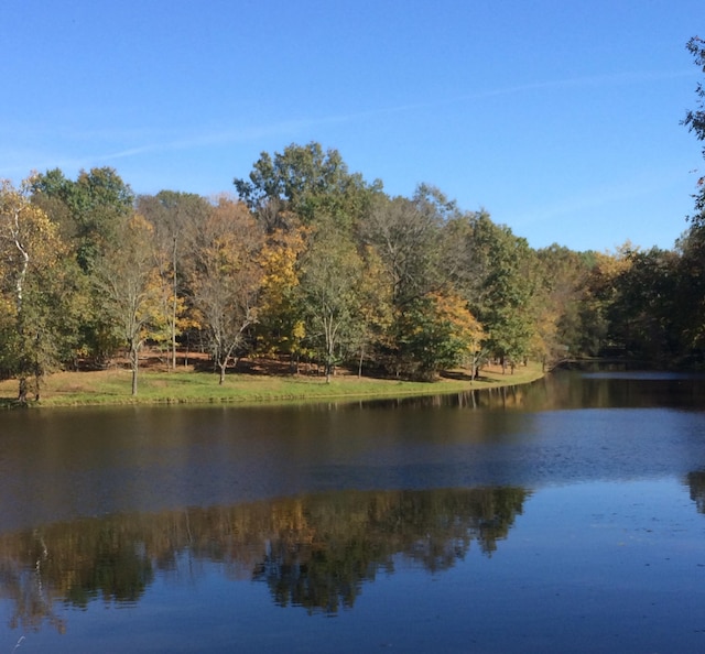 property view of water with a view of trees