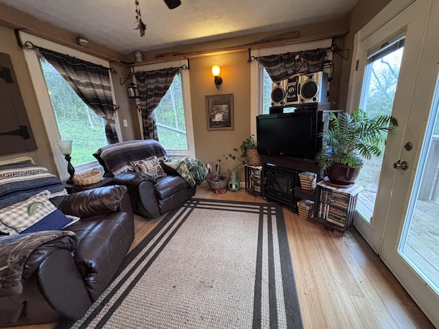 living room featuring wood finished floors and a healthy amount of sunlight