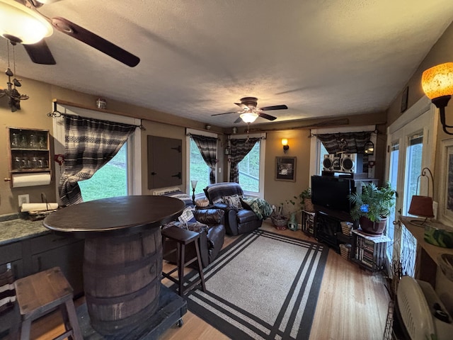 living area featuring a ceiling fan and wood finished floors