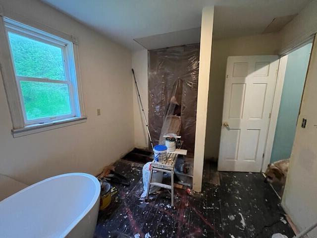 bathroom with a freestanding tub