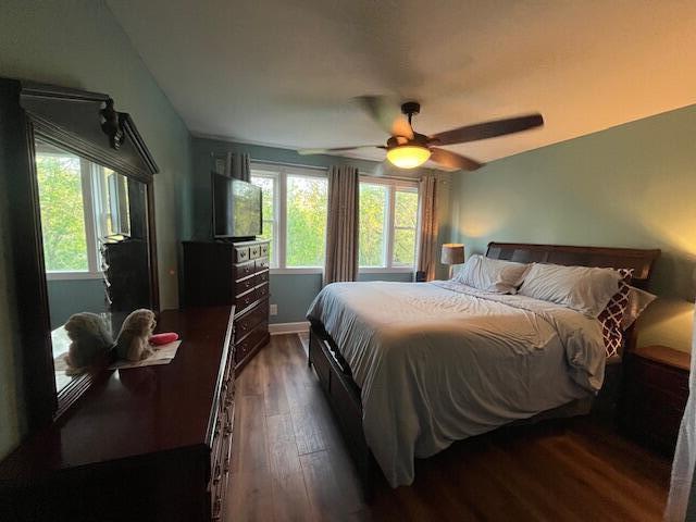 bedroom with ceiling fan, multiple windows, baseboards, and dark wood-type flooring