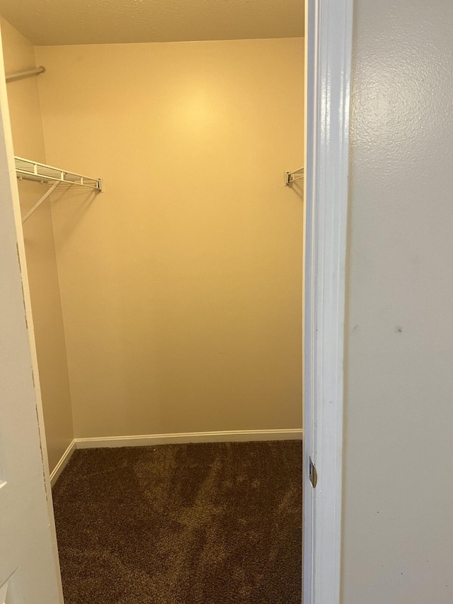 walk in closet featuring carpet