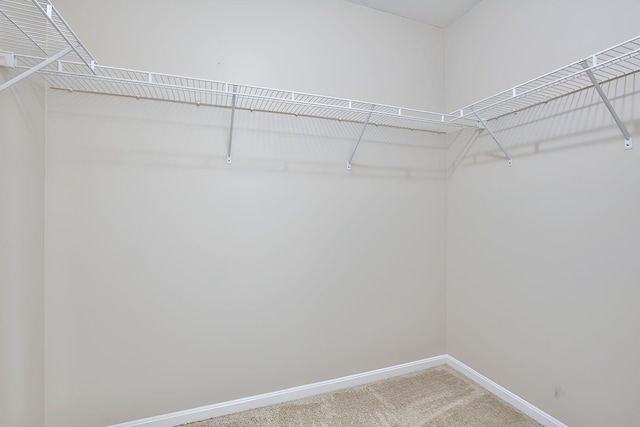 1609 Woodfield Ct, Hebron, KY 41048 - walk in closet with light colored carpet