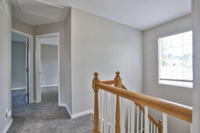 7704 Falls Creek Way, Burlington, KY 41005 - photo 25