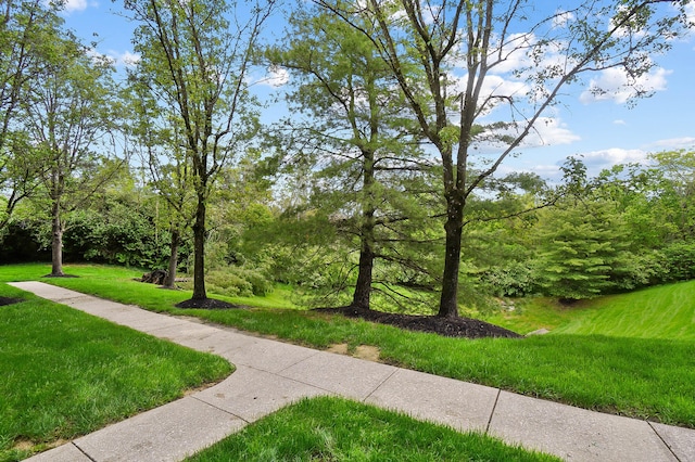 view of community with a lawn