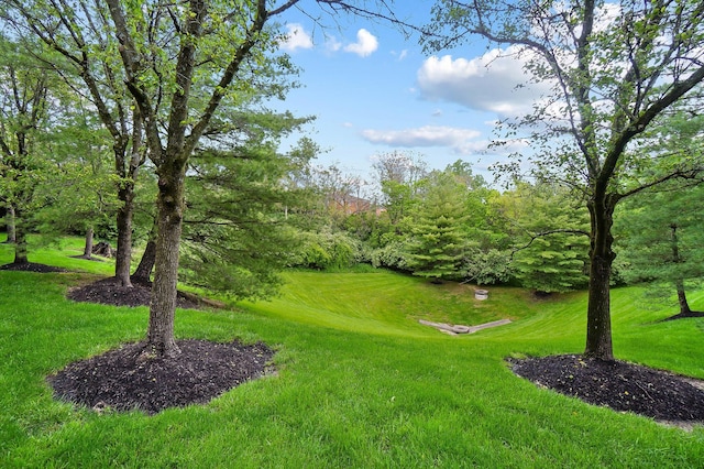 view of grassy yard