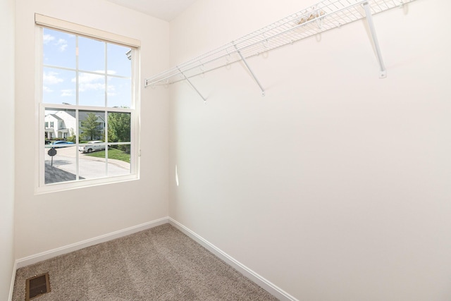 walk in closet featuring visible vents and carpet flooring