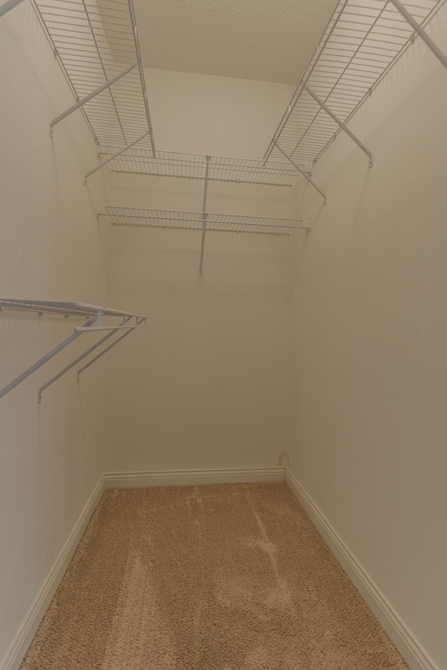 walk in closet featuring light colored carpet