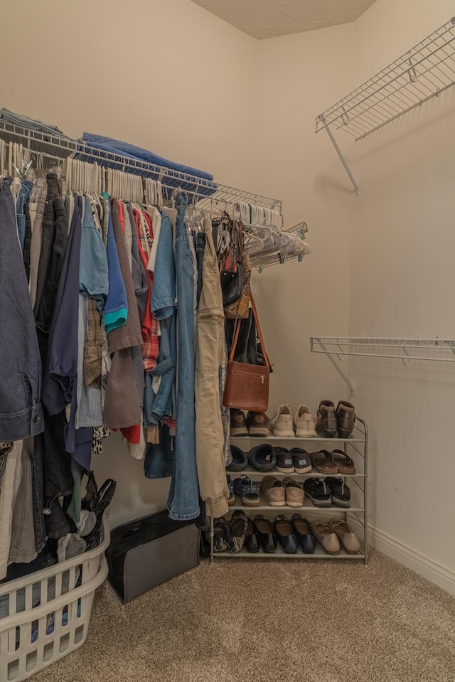 walk in closet with carpet floors