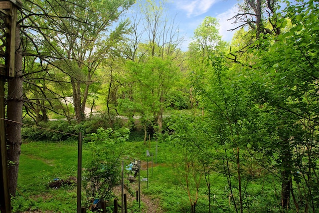 view of yard with a wooded view