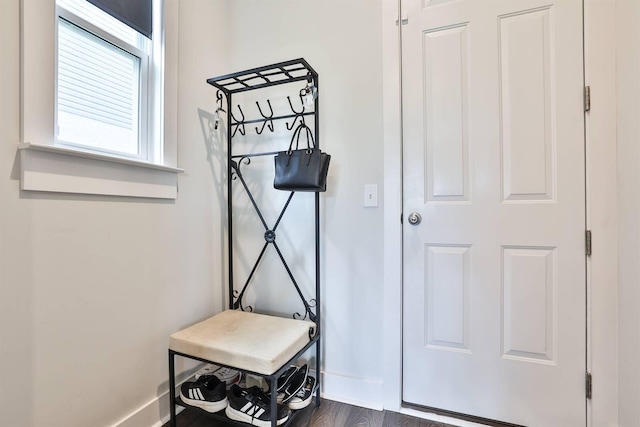 interior space with baseboards and dark wood finished floors