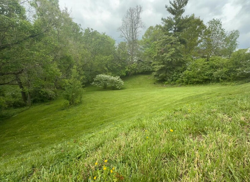 214 Grant St, Fort Thomas, KY 41075 - photo 1