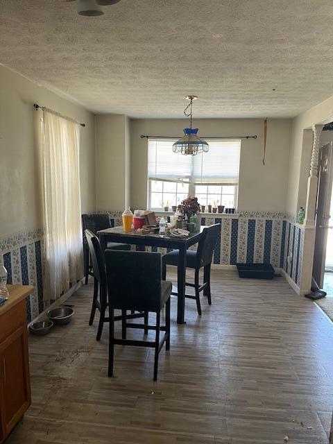 407 E E Shelby St, Falmouth, KY 41040 - dining space with a textured ceiling and dark wood finished floors