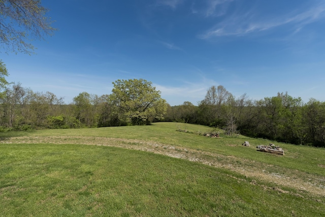 view of grassy yard with a rural view and a wooded view