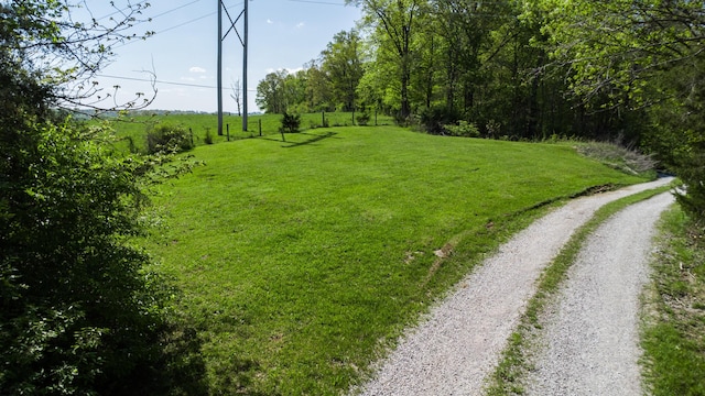 view of green lawn