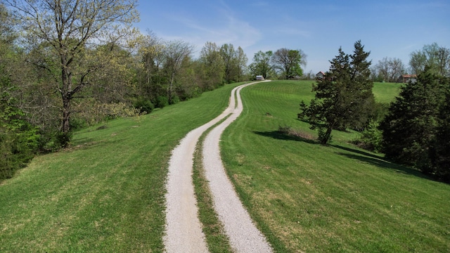 view of dirt / gravel road