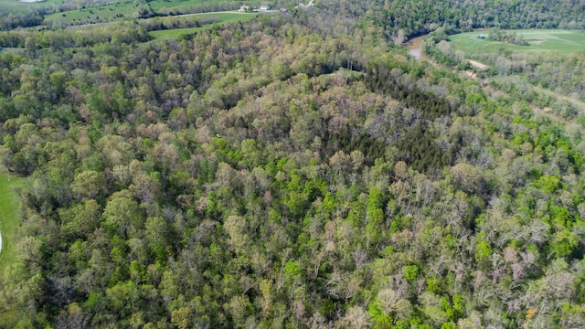 aerial overview of property's location with a forest