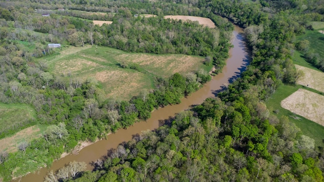 view of property location with a heavily wooded area and a large body of water