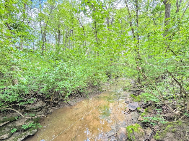 1376 Symbo Ln, Walton, KY 41094 - view of landscape