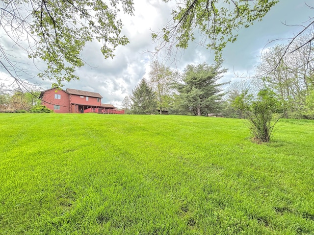1376 Symbo Ln, Walton, KY 41094 - view of yard
