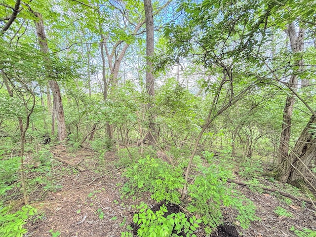 1376 Symbo Ln, Walton, KY 41094 - view of local wilderness with a wooded view