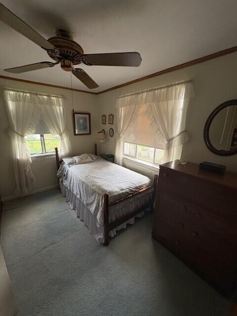 bedroom featuring crown molding, a ceiling fan, and carpet flooring