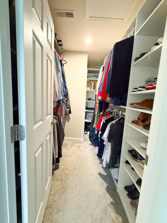 walk in closet with attic access and carpet floors