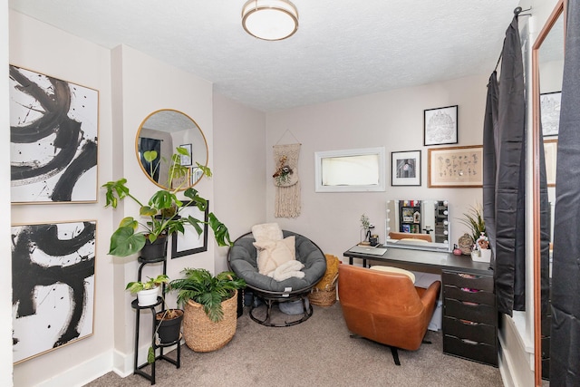 sitting room featuring a textured ceiling, baseboards, and carpet